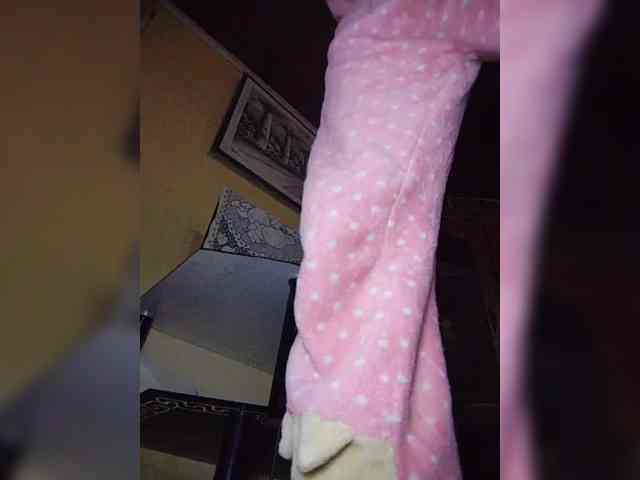 Stella11 webcam