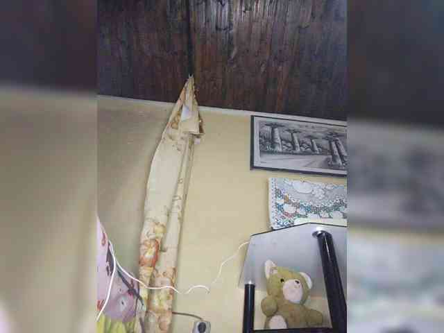 Stella11 webcam