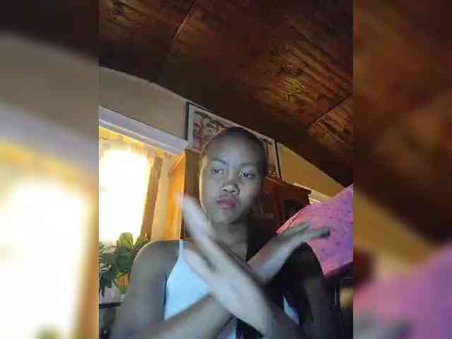 Stella11 webcam