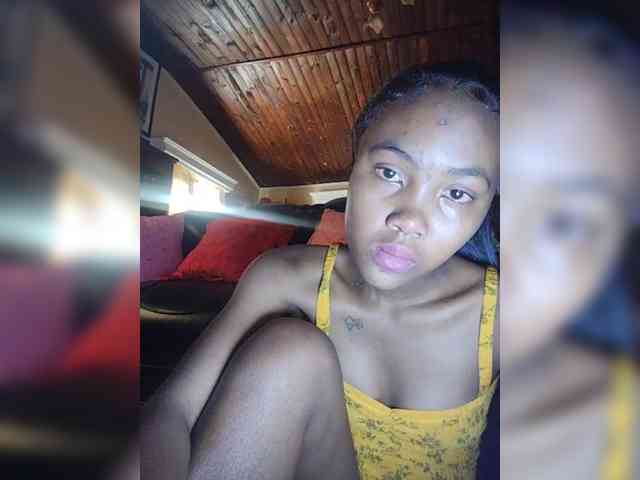 Stella11 webcam