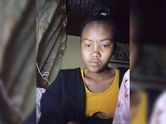 Stella11 webcam