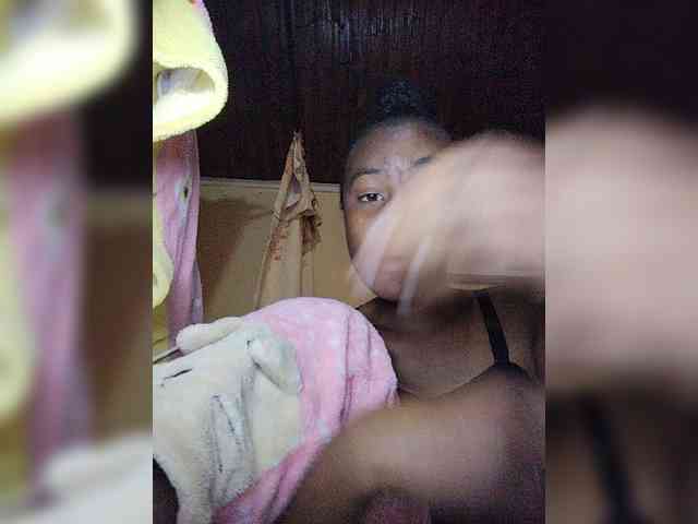Stella11 webcam