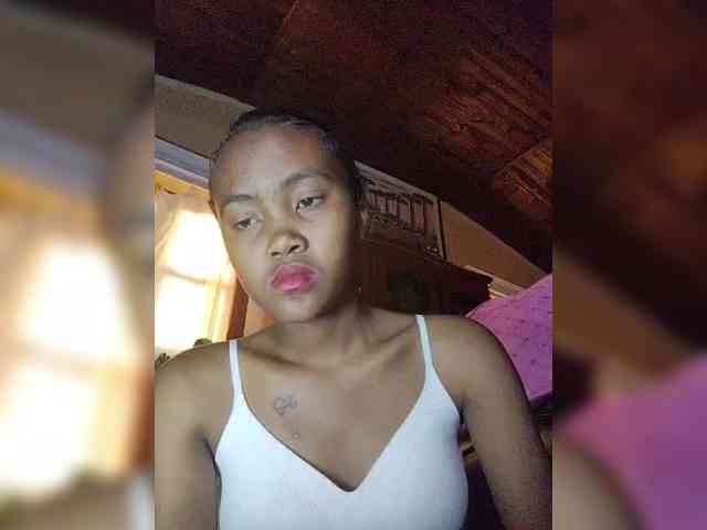 Stella11 webcam