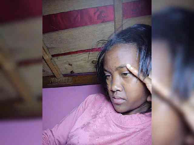 Stella11 webcam