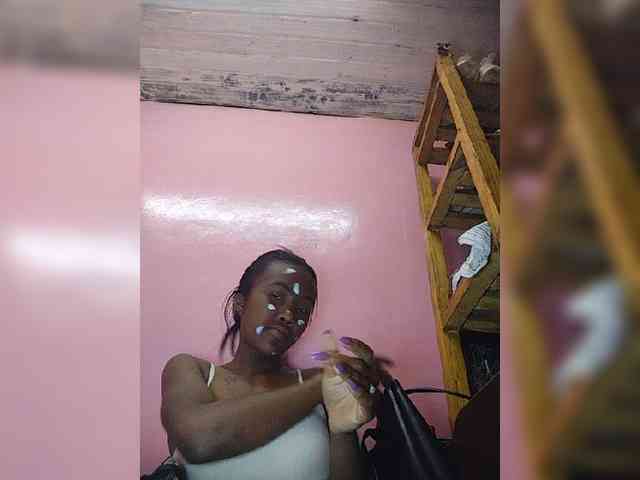 Stella11 webcam