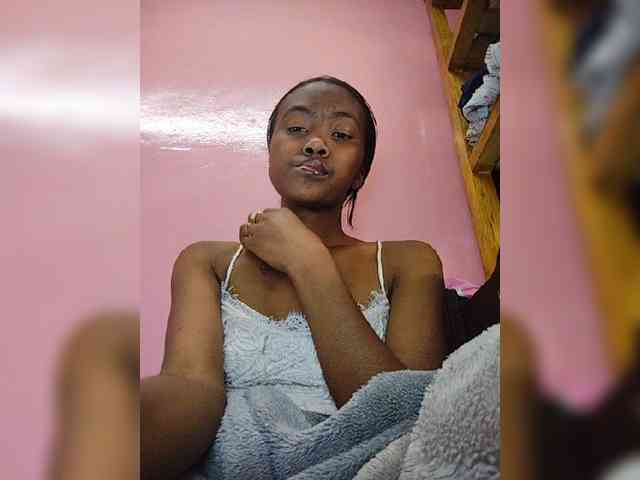Stella11 webcam
