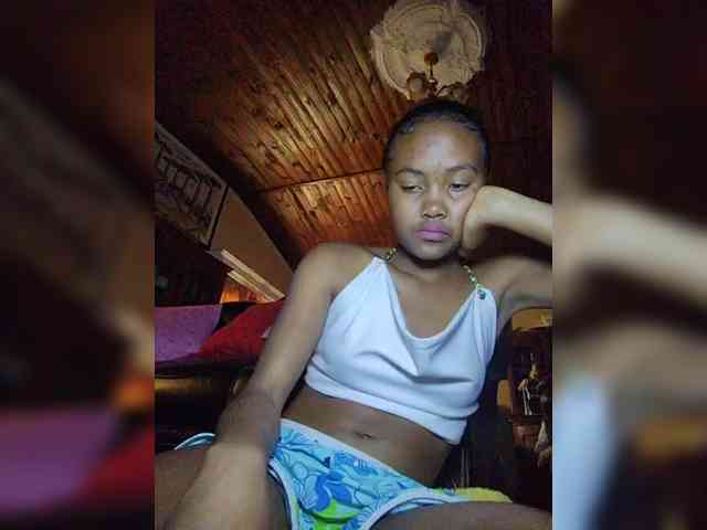 Stella11 webcam