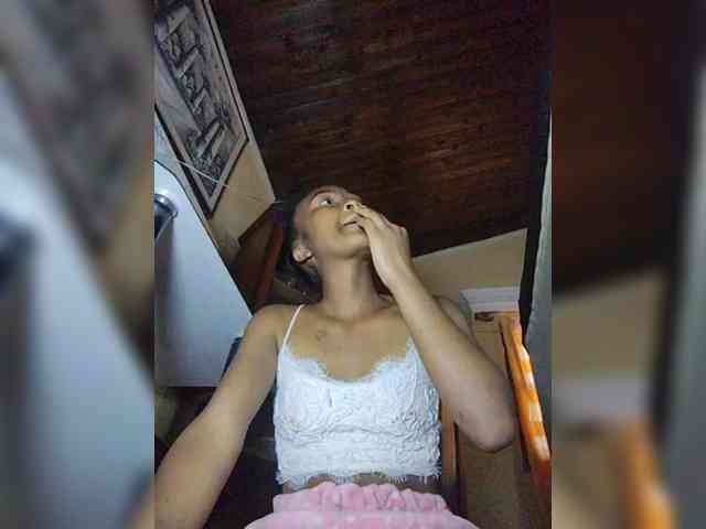 Stella11 webcam