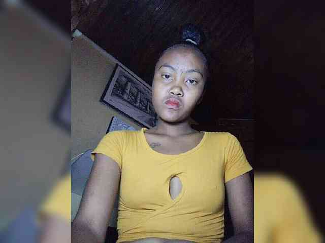 Stella11 webcam