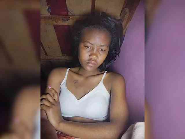Stella11 webcam
