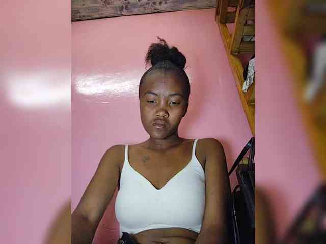 Stella11 webcam