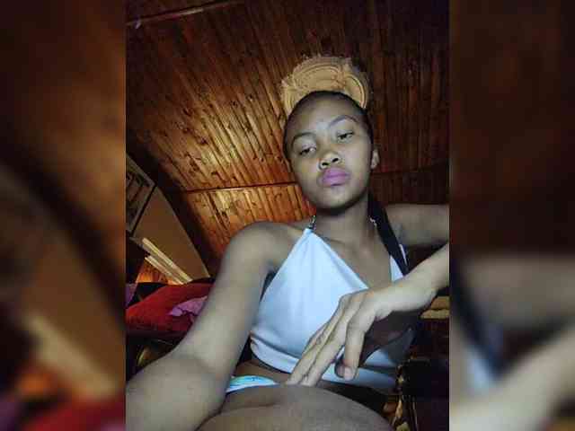 Stella11 webcam
