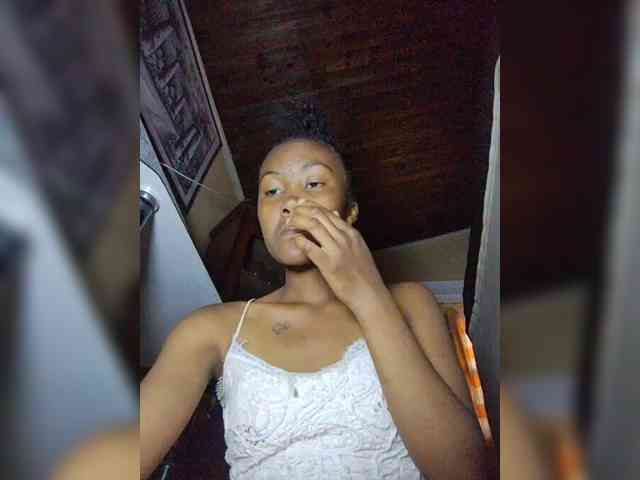 Stella11 webcam