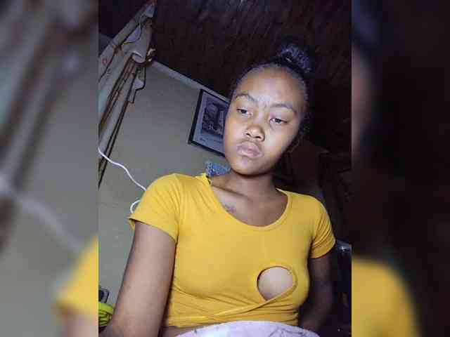 Stella11 webcam
