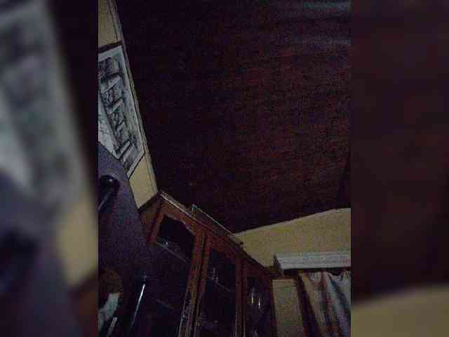 Stella11 webcam