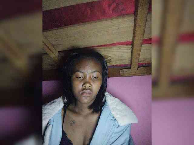 Stella11 webcam