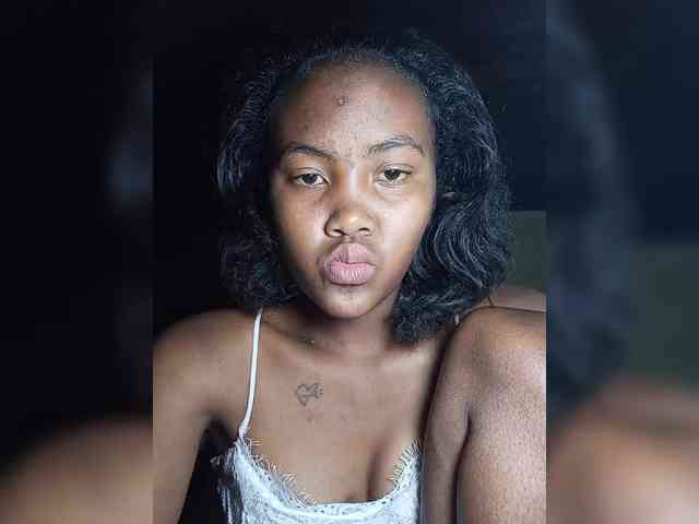 Stella11 webcam