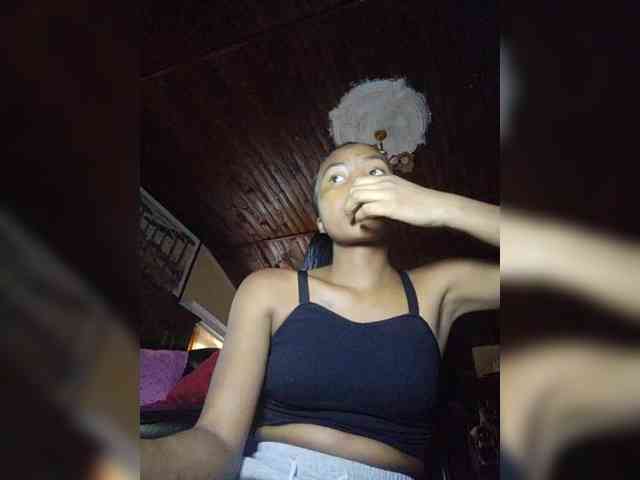 Stella11 webcam