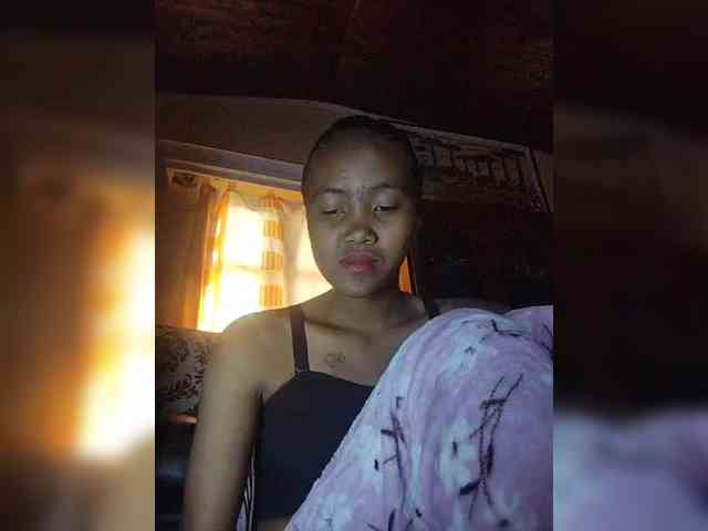 Stella11 webcam