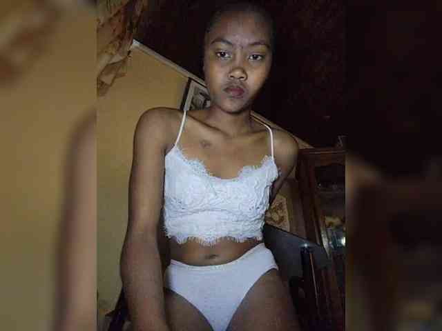 Stella11 webcam