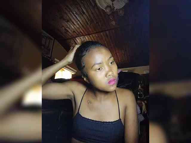 Stella11 webcam