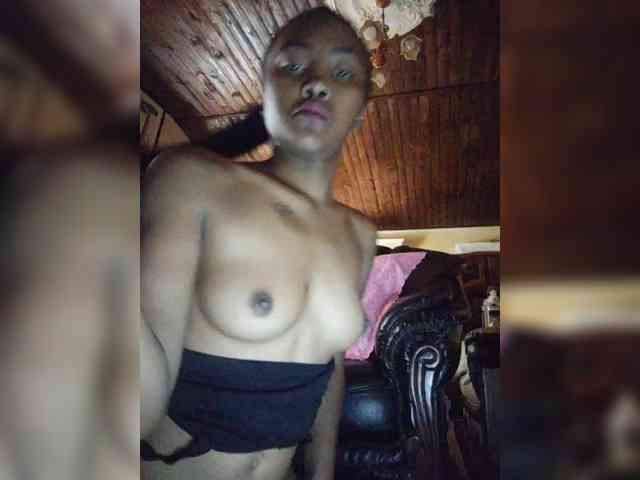 Stella11 webcam