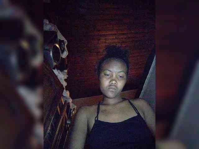 Stella11 webcam