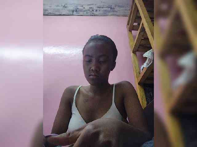 Stella11 webcam