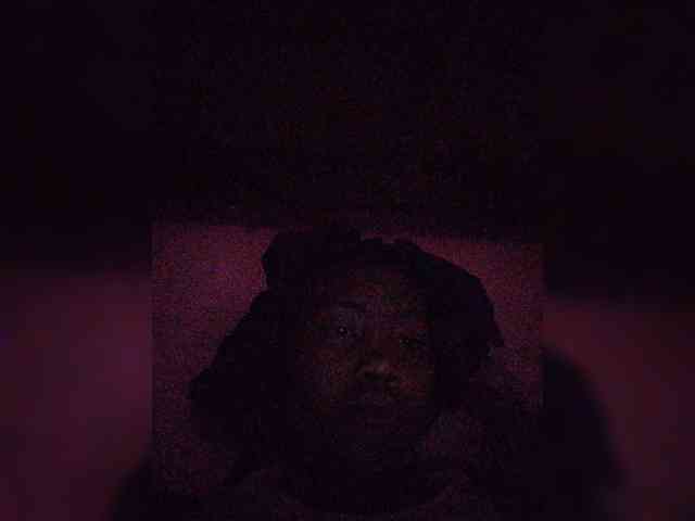 Stella11 webcam