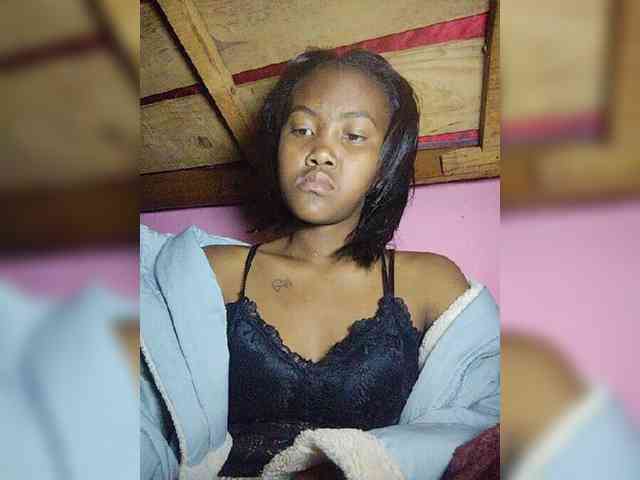 Stella11 webcam