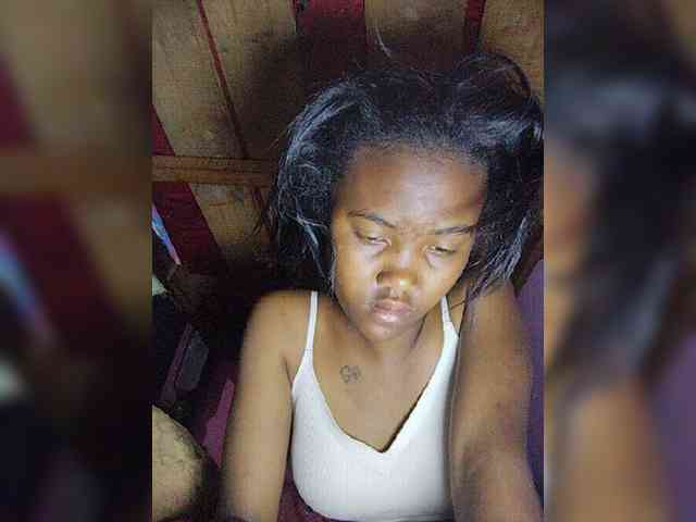 Stella11 webcam