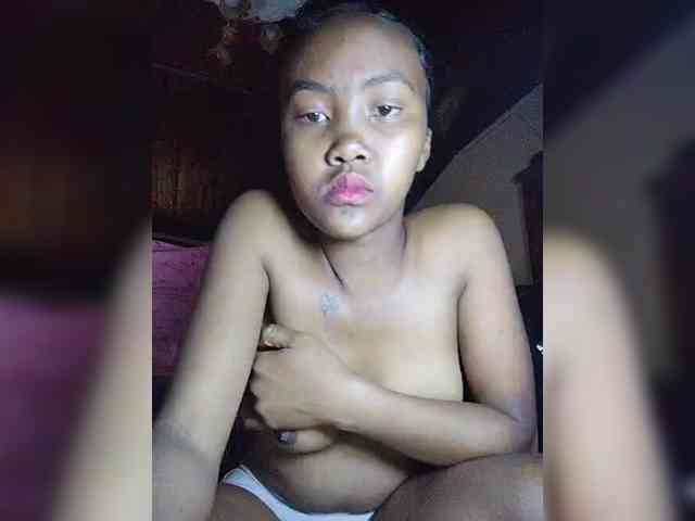 Stella11 webcam