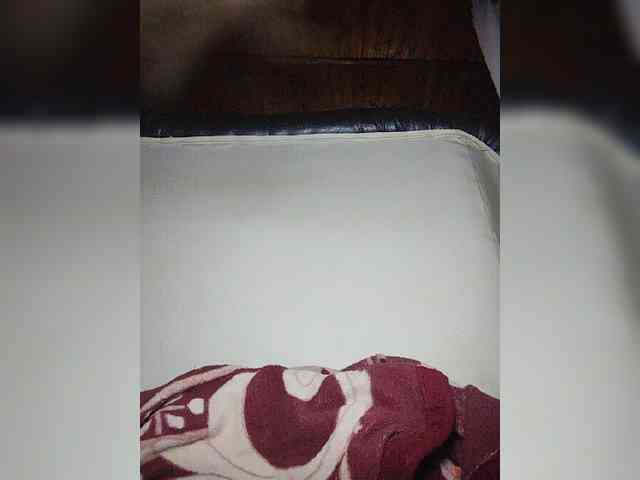 Stella11 webcam