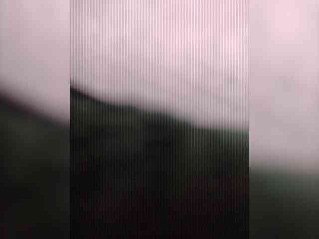 Stella11 webcam