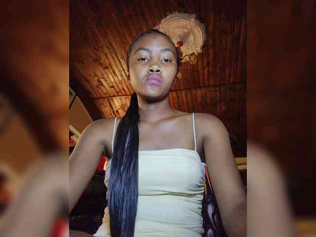 Stella11 webcam