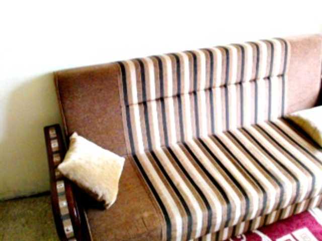 Alisex3131s