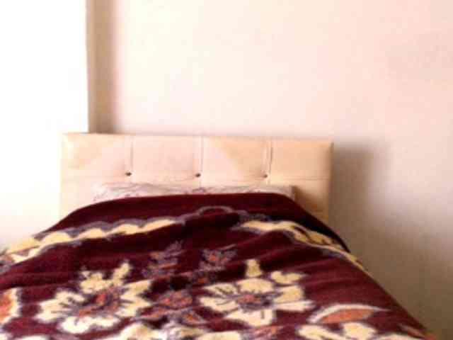 Alisex3131s
