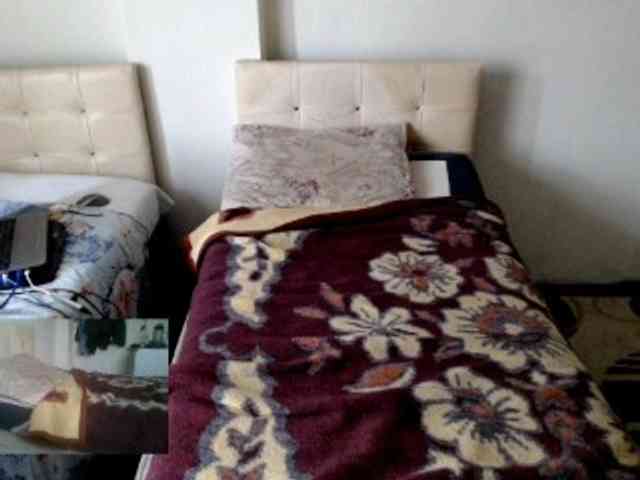 Alisex3131s Alisex3131s
