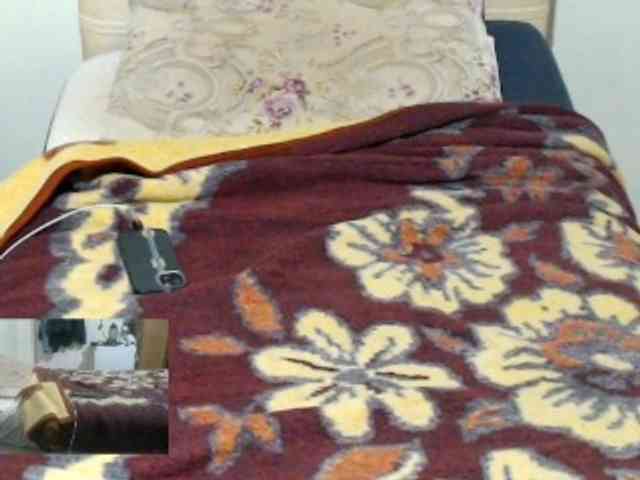 Alisex3131s Alisex3131s