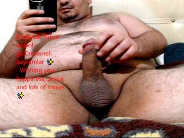 Alisex3131s