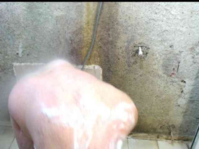 Alisex3131s Alisex3131s