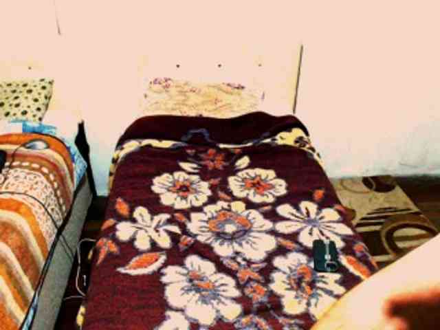 Alisex3131s Alisex3131s