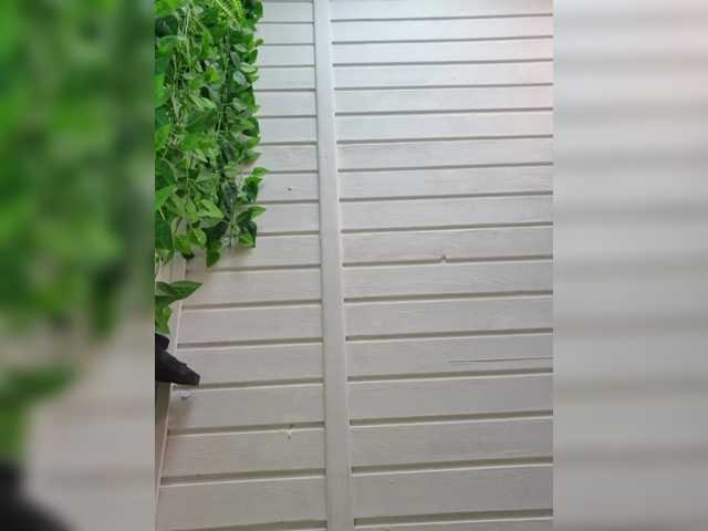---NATALI---a live cam on BongaCams