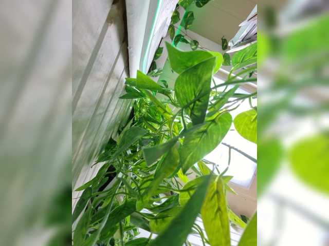 ---NATALI---a live cam