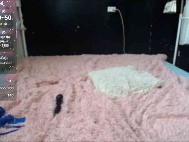 JustBlondie webcam