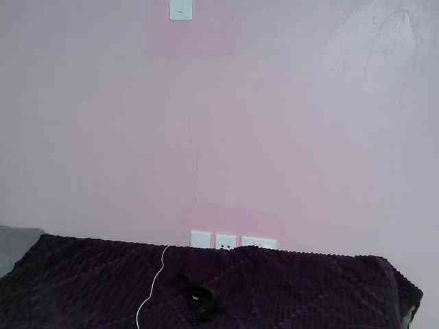 DiabolicalDiva webcam