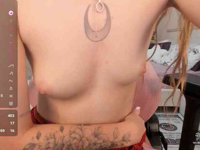 SeikoSwan webcam
