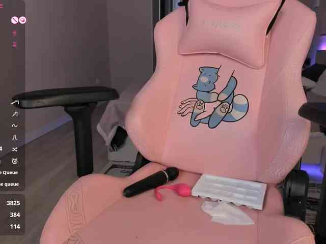 SeikoSwan webcam
