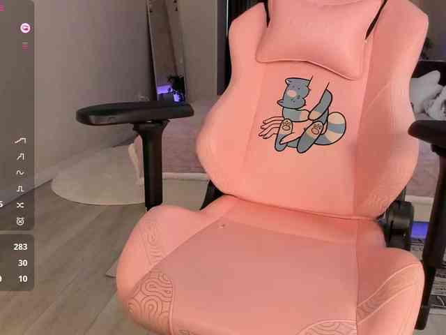 SeikoSwan webcam