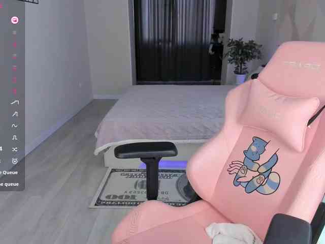 SeikoSwan webcam